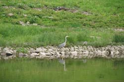 19-05-17_DD_BdSch_0212_LeS_05343